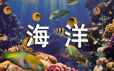 海洋館參觀記作文