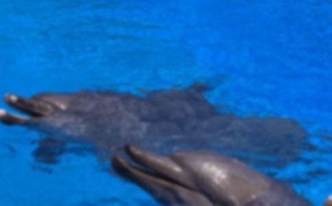 �x���{ɫ�ĺ����u���иС�����
