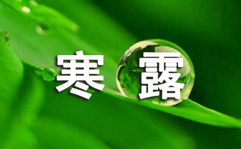 寒露祝福語早安