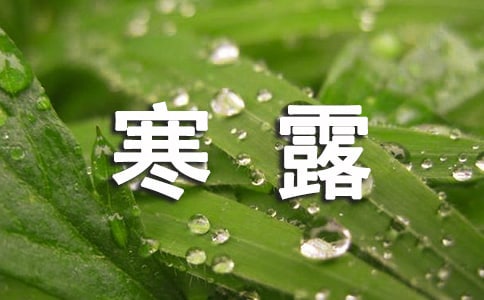 寒露養生文案