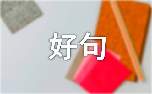 西游記的好句(集錦15篇)