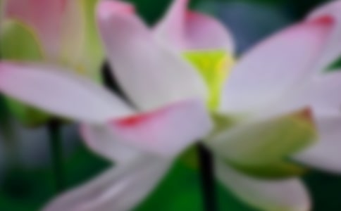 ���P�ɻ�����