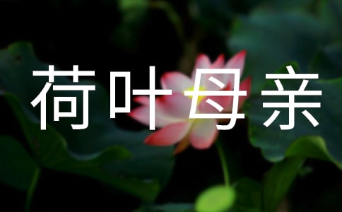 荷葉母親評課稿