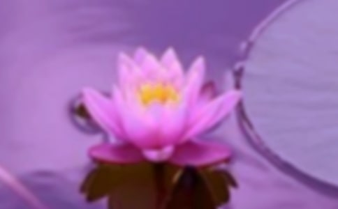 熱門和諧作文錦集