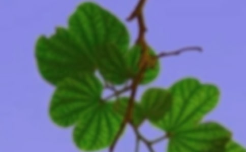 �ژ������C�ڄ��Pϵ�������vԒ