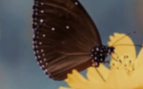 ����������(bi��o)�����ġ�����
