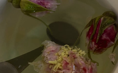 茉莉花茶的功效與作用-怎樣選購茉莉花茶