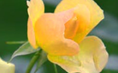 �_��ӛ����̎�Ļ������ă��x��15ƪ��