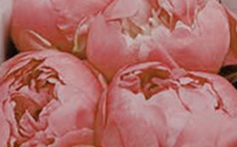 開在記憶深處的花朵作文11篇