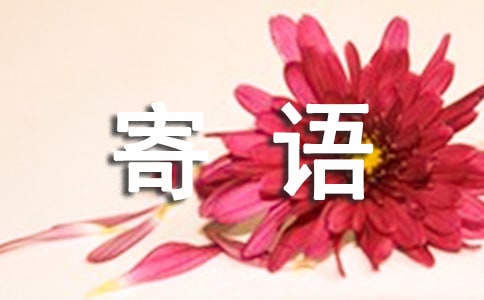 ���؂䡿���Z������4ƪ