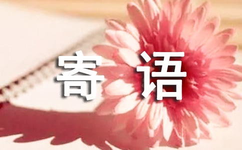給未來的自己寄語350句