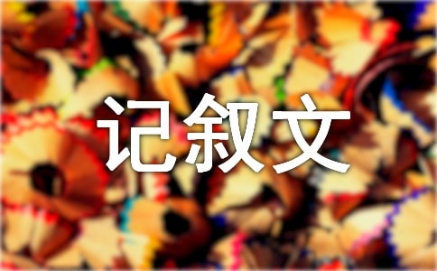 【精選】記敘文作文4篇