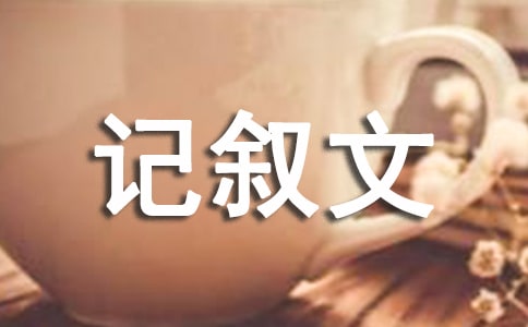 我和書法記敘文