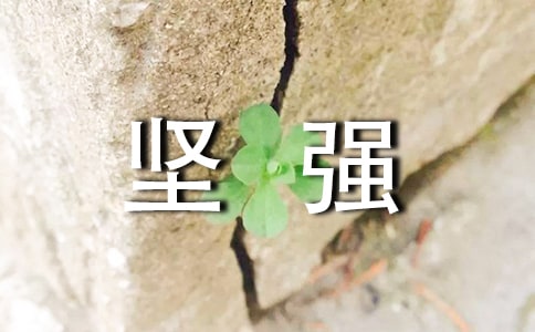 【熱門】堅強作文匯編六篇