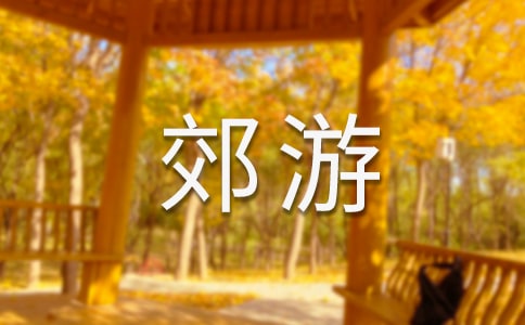 大班藝術(shù)活動(dòng)《郊游》第一課時(shí)活動(dòng)反思