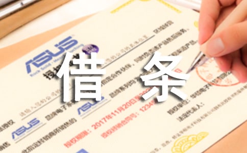 標(biāo)準(zhǔn)的民間借款借條范本