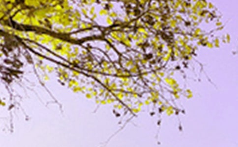 鄉(xiāng)村景色