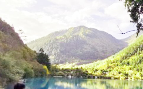 ���桶��կ�ϡ��ĵ��w��