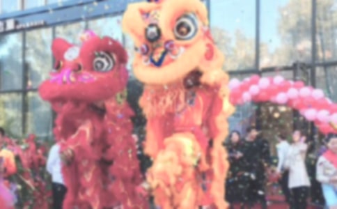 ���Y�a������˾�_�I��Y�Ͽ��������o