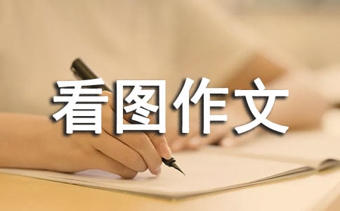 С�W���D����