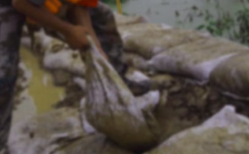 ����ȞĂ������M���E
