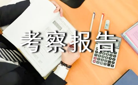 (實用)外出考察報告范文