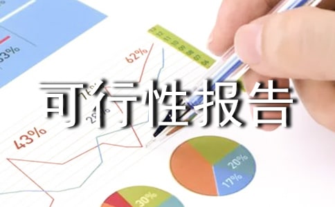 項目可行性報告范文(精選17篇)