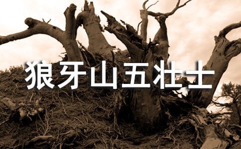 《狼牙山五壯士》讀后感(必備15篇)