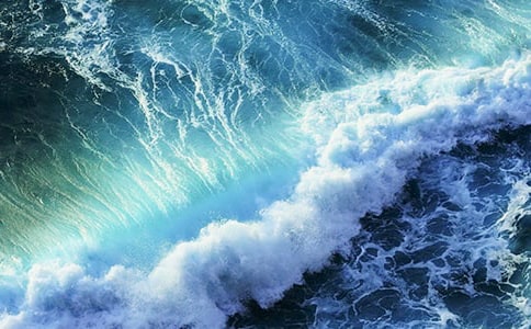 奔向海邊拾浪花