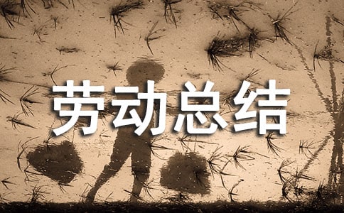 義務勞動總結