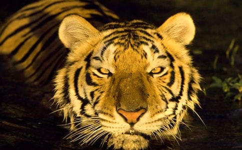 �Z�������ϻ��؈DGPS��������ʹ��ָ��