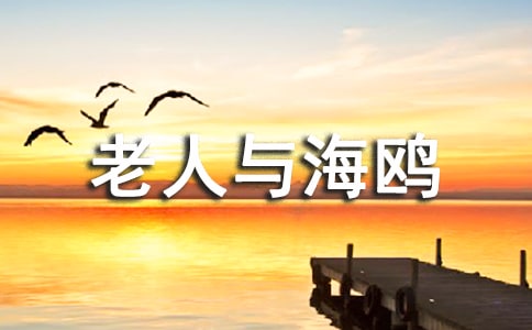 �����c���t�n��˼