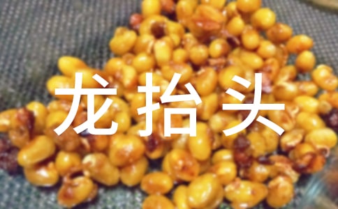 【精華】二月二龍?zhí)ь^作文