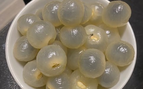 家鄉(xiāng)的龍眼樹(shù)作文