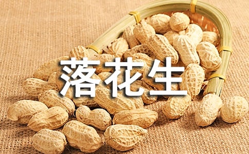 �仨���u�n�僞�㣨9ƪ��