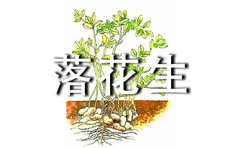 �仨���u�n��