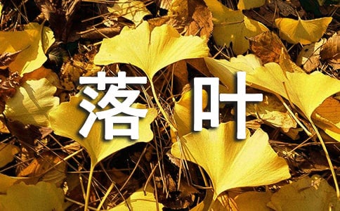 落葉六年級作文