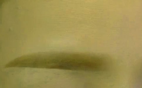 新手畫眉毛的技巧圖解