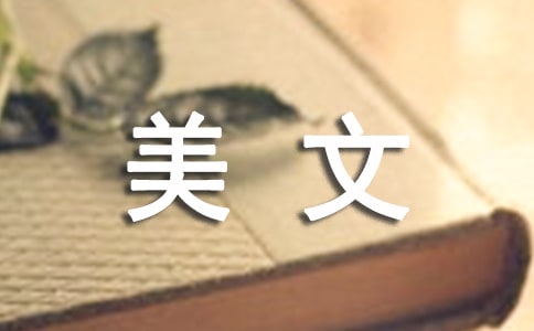 歲月的痕跡美文欣賞