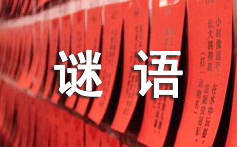猜謎語大全帶答案