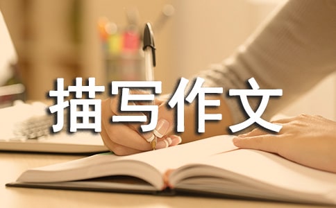 �������茑���Č���[3ƪ]
