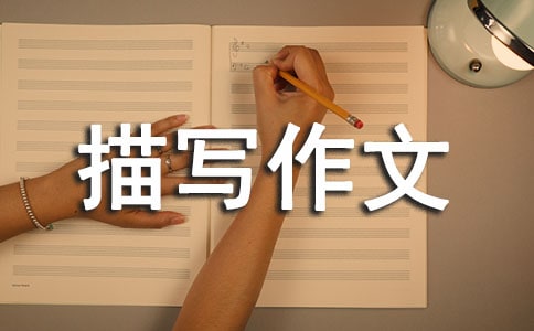 �������茑���ĳ��ã�6ƪ��