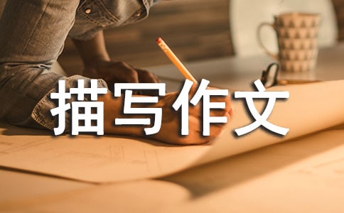�������茑����5ƪ����(sh��)�ã�