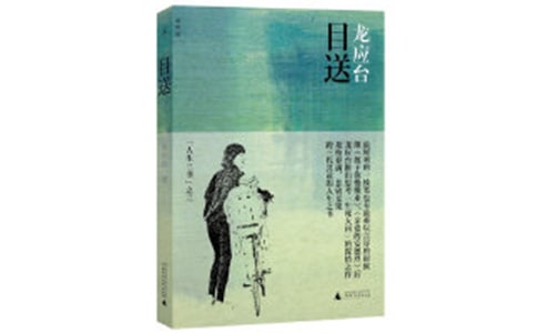 《目送》讀后感(精選16篇)