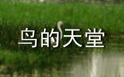 ���B�����á��̌W(xu��)�O(sh��)Ӌ(j��)�����]��