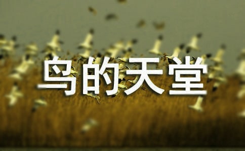 С�W�Z���n�ġ��B�����á������f�n�OӋ