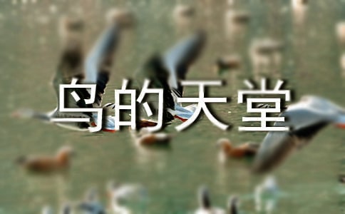 《鳥的天堂》評課稿(通用12篇)