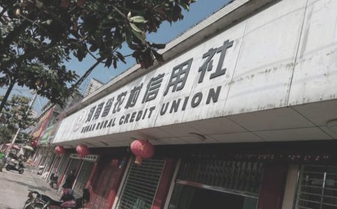 農村信用社綜合柜員總結(精選5篇)