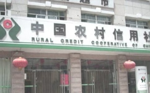 農村信用社的實習報告9篇