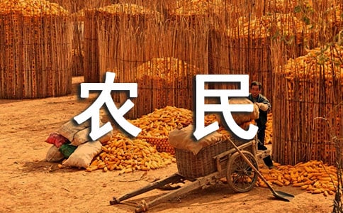 農(nóng)民工勞動合同(實用)